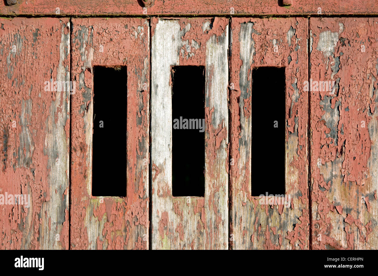 Detail of paint peeling from wooden barn door close up Stock Photo