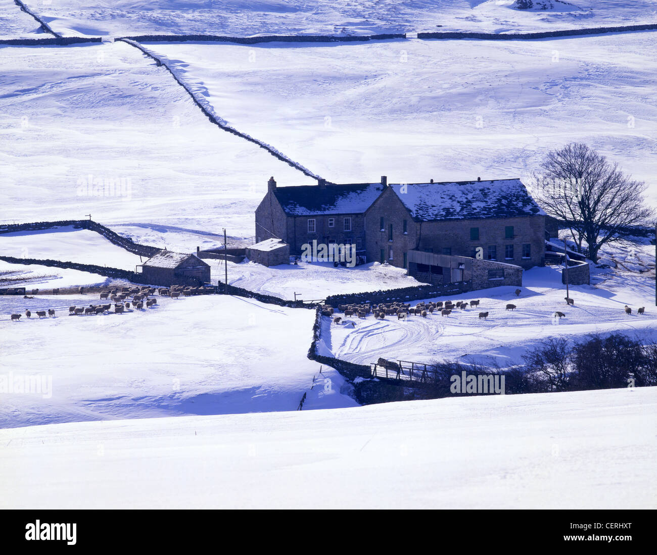 A farmhouse in a winter landscape Stock Photo - Alamy