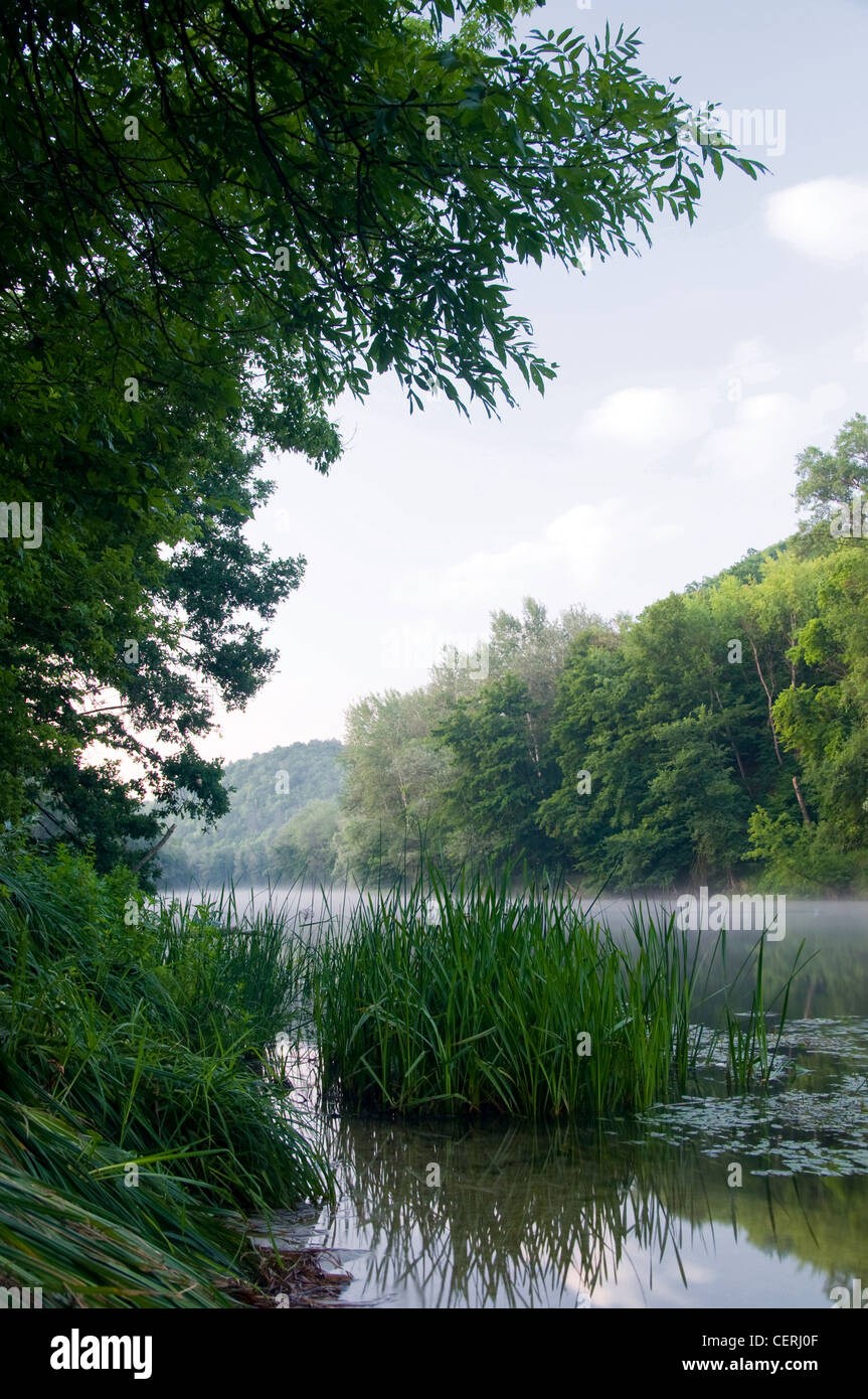 landscape with river and reeds growing along the shore Stock Photo - Alamy