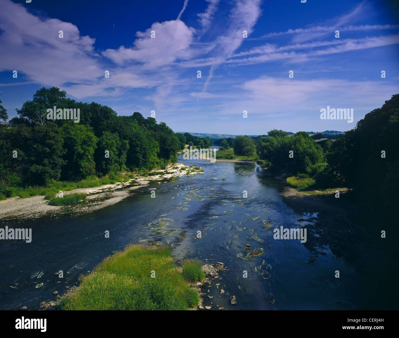 My Image 33