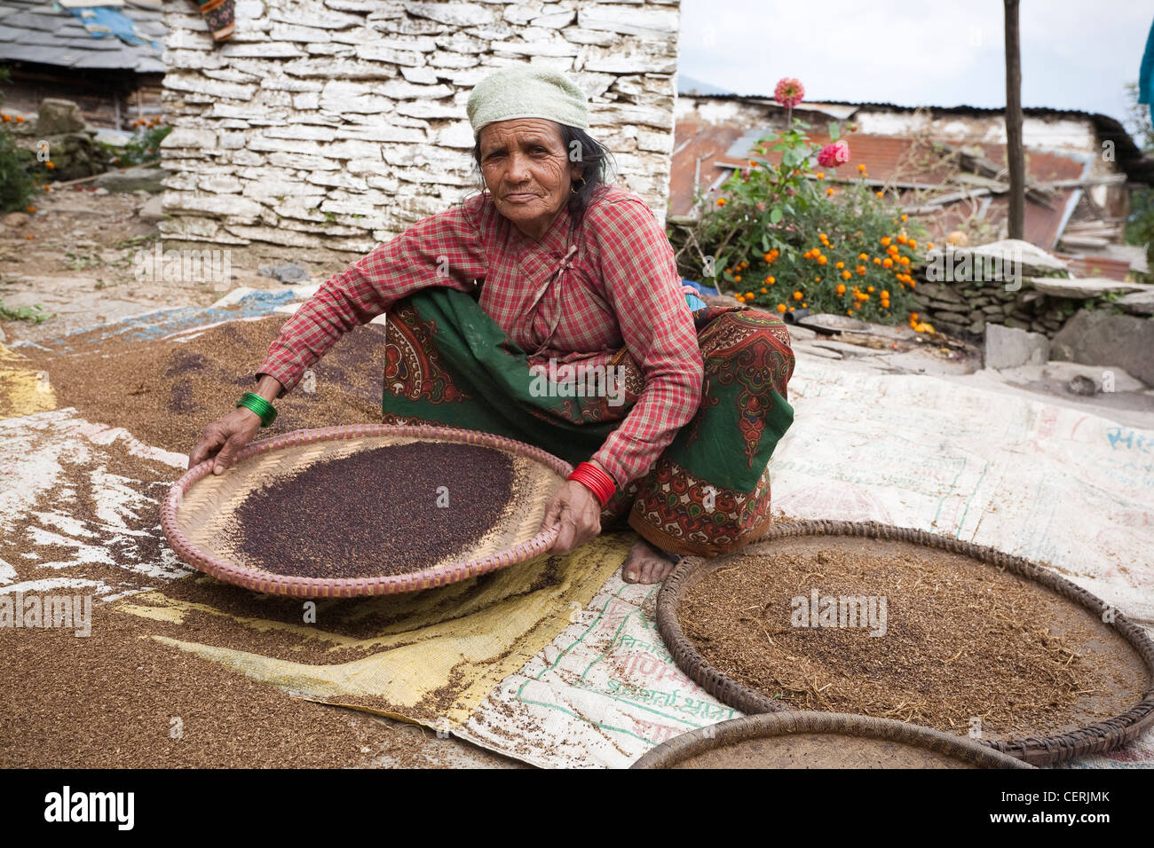 Winnowing grain hires stock photography and images Alamy