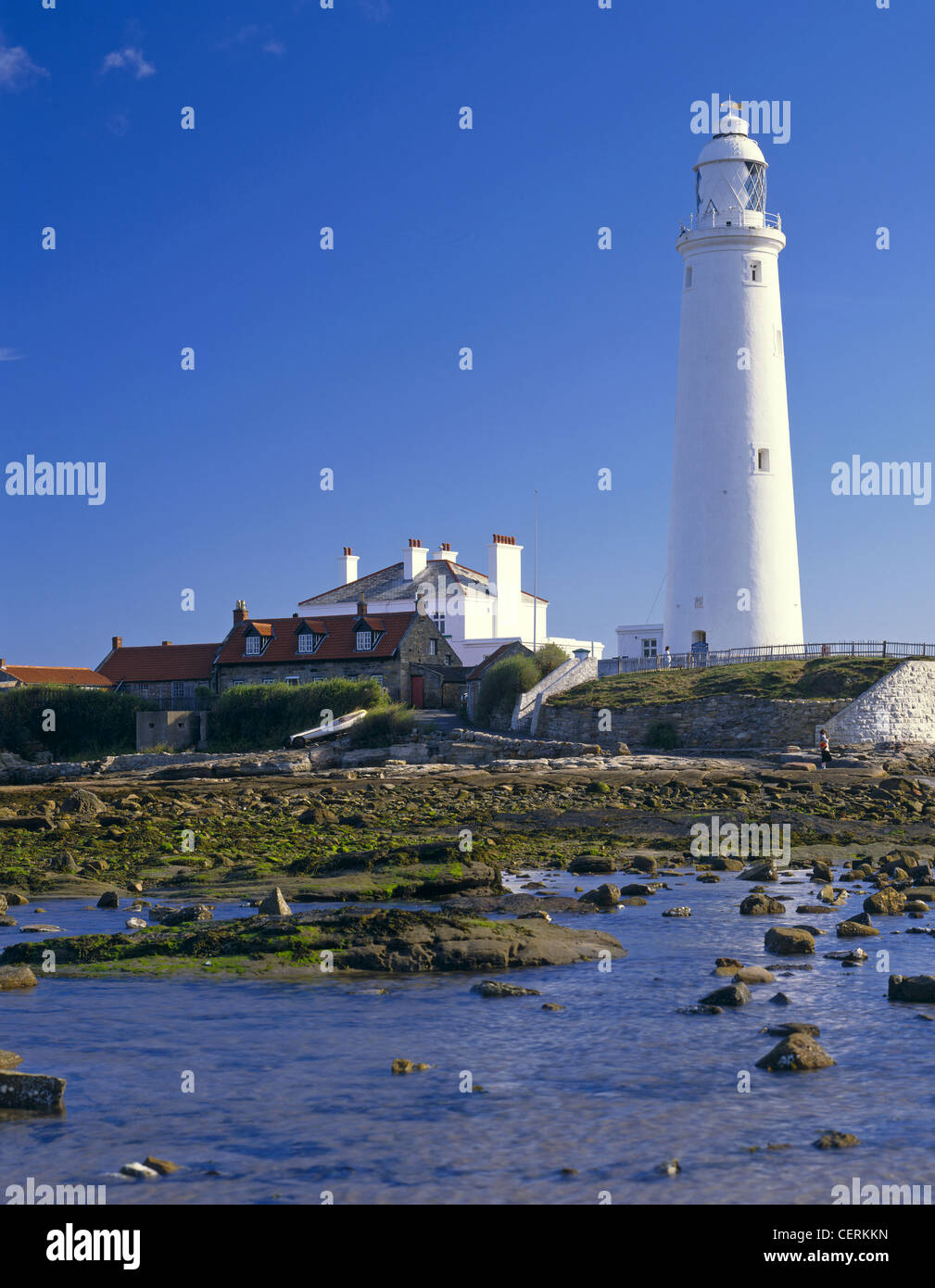 A view across the water to St. Mary's lighthouse. Stock Photo