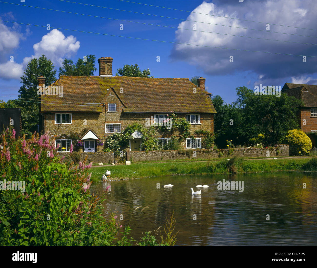 Cottage by the pond at Dunsfold. Stock Photo