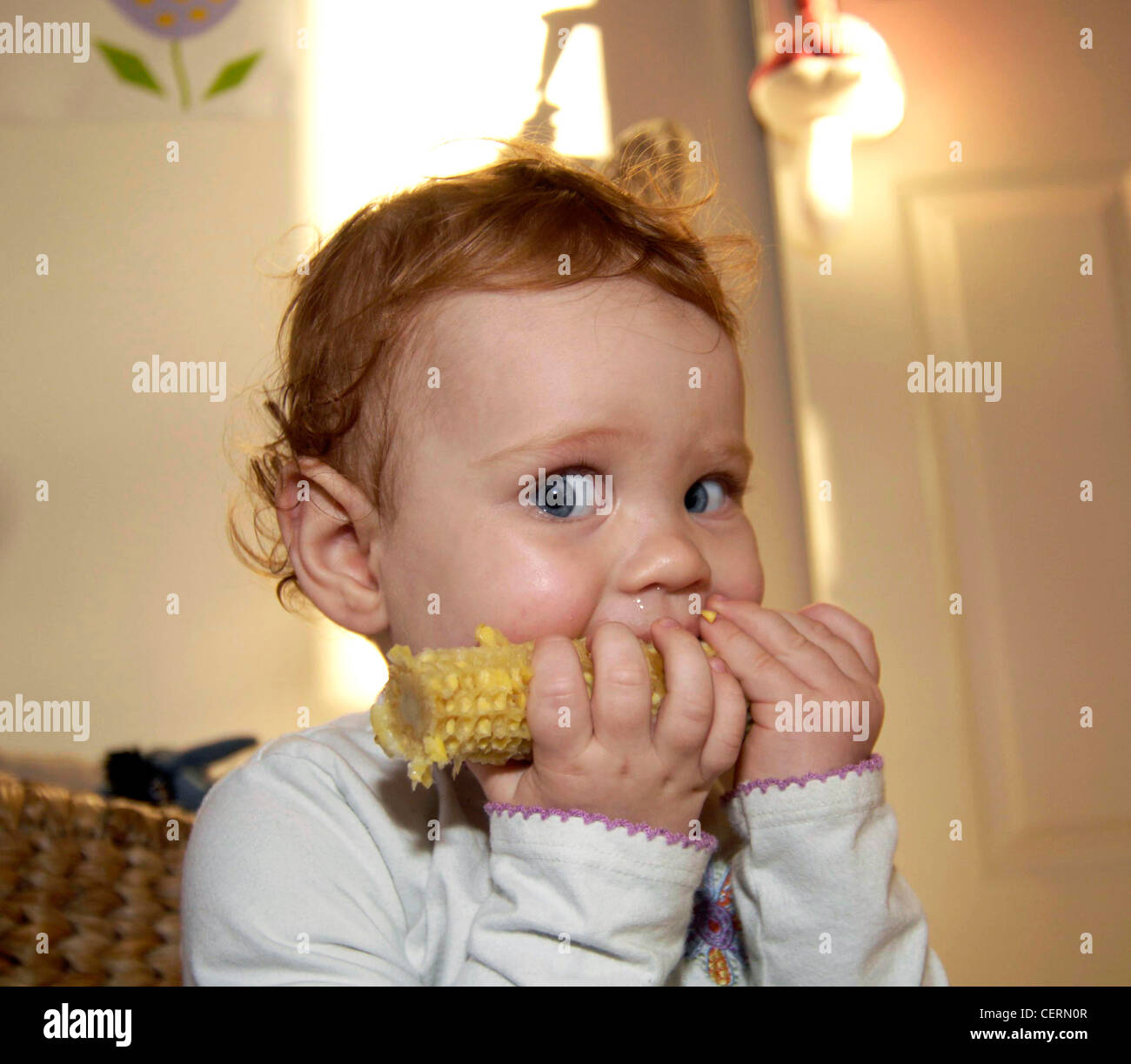 Top 28+ Photos can toddlers eat corn on the cob Excellent Top 28+ Photos can toddlers eat corn on the cob Excellent