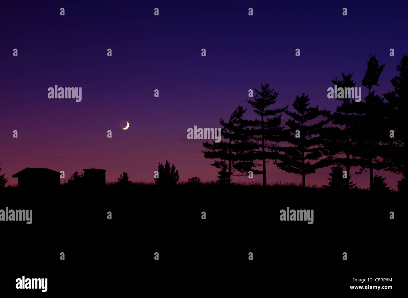 Silhouetted trees and a crescent  moon in twilight. Stock Photo