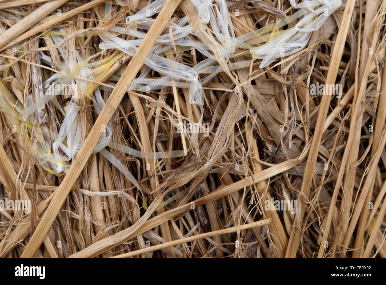 Closeup View Of A Straw Bail Stock Photo - Alamy Bail of straw near me