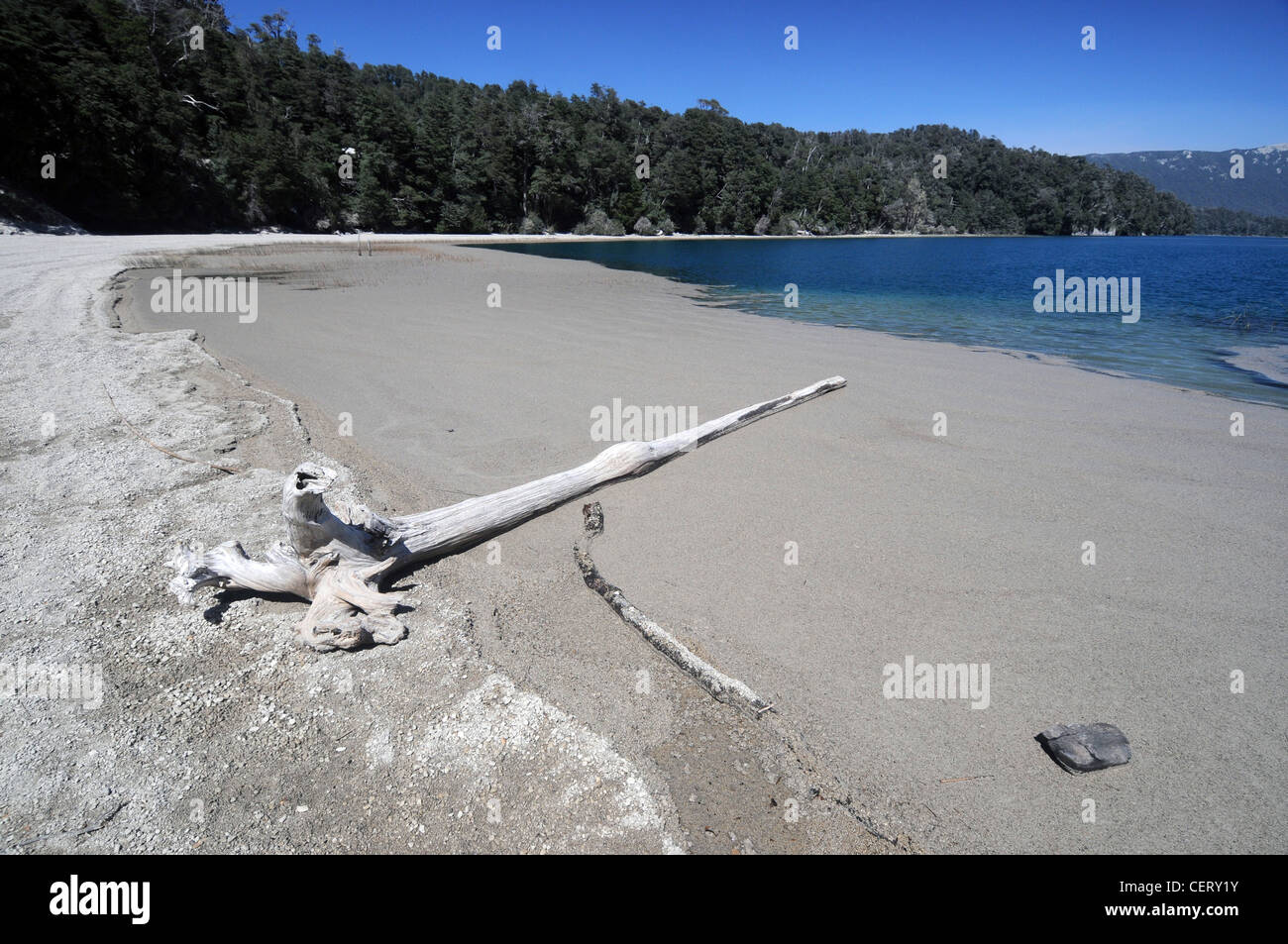 Pumice and ash covering Lago Espejo, from eruption of nearby Volcan Puyehue in Chile, Nahuel Huapi National Park, Argentina Stock Photo