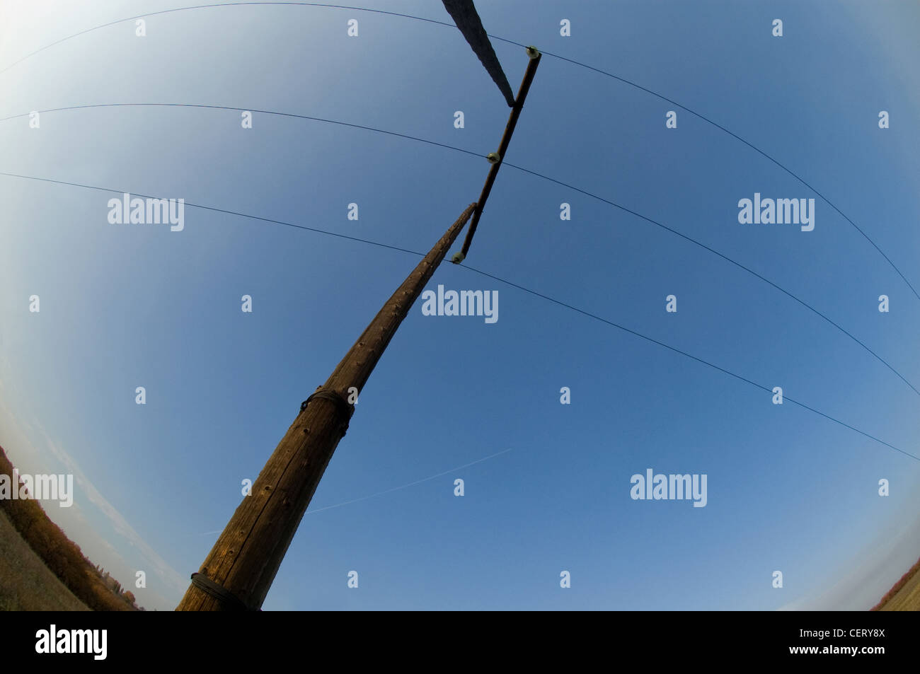 wooden pole with electric wires Stock Photo - Alamy