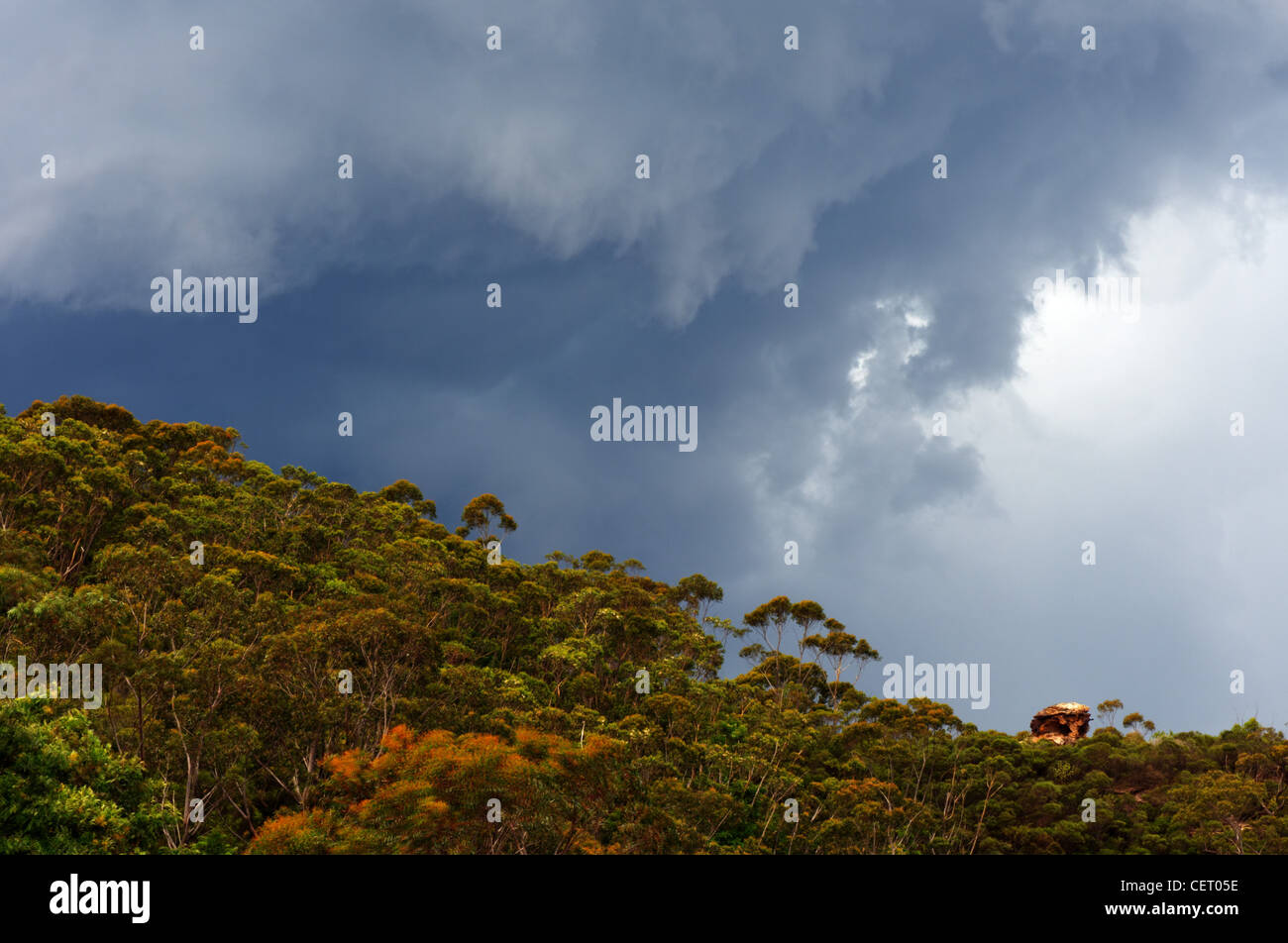 A storm cloud in the Blue Mountains, Australia Stock Photo - Alamy