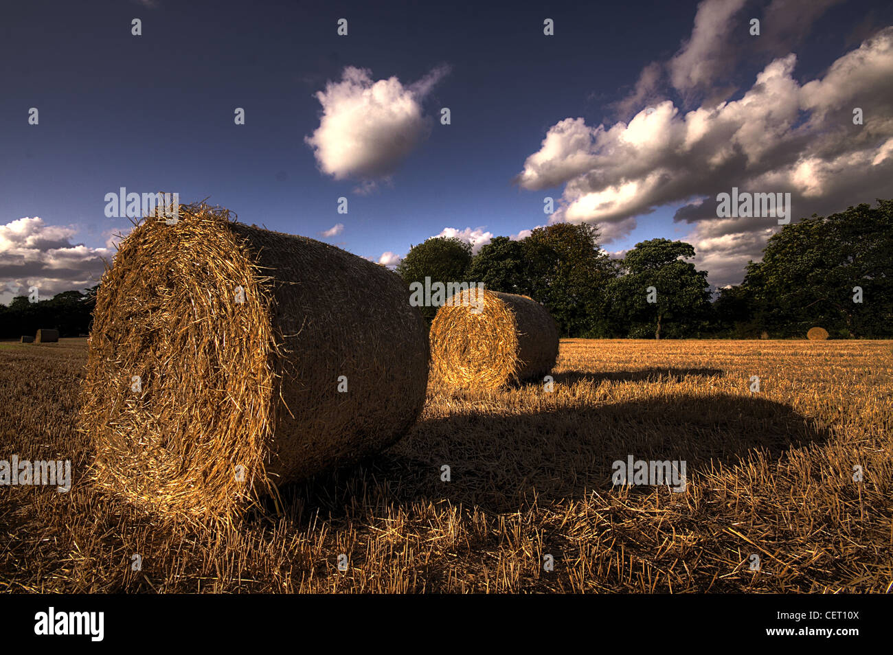 Hay Bales, Cheshire Countryside, Grappenhall, Warrington Cheshire WA4 2PL Stock Photo