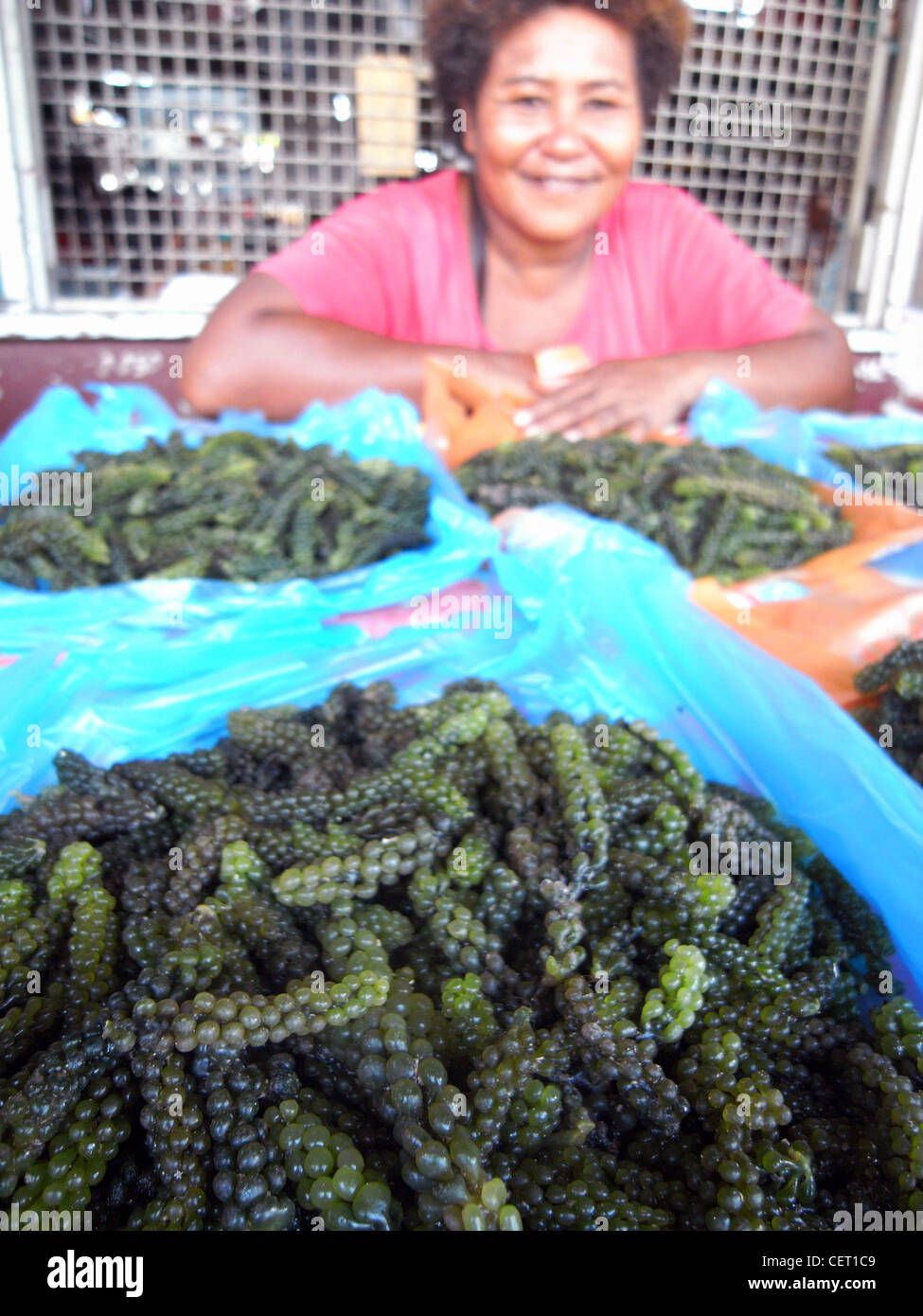 Locally collected edible seaweed (Caulerpa racemosa, also known as green caviar) for sale in market in Lautoka, Fiji. No MR Stock Photo