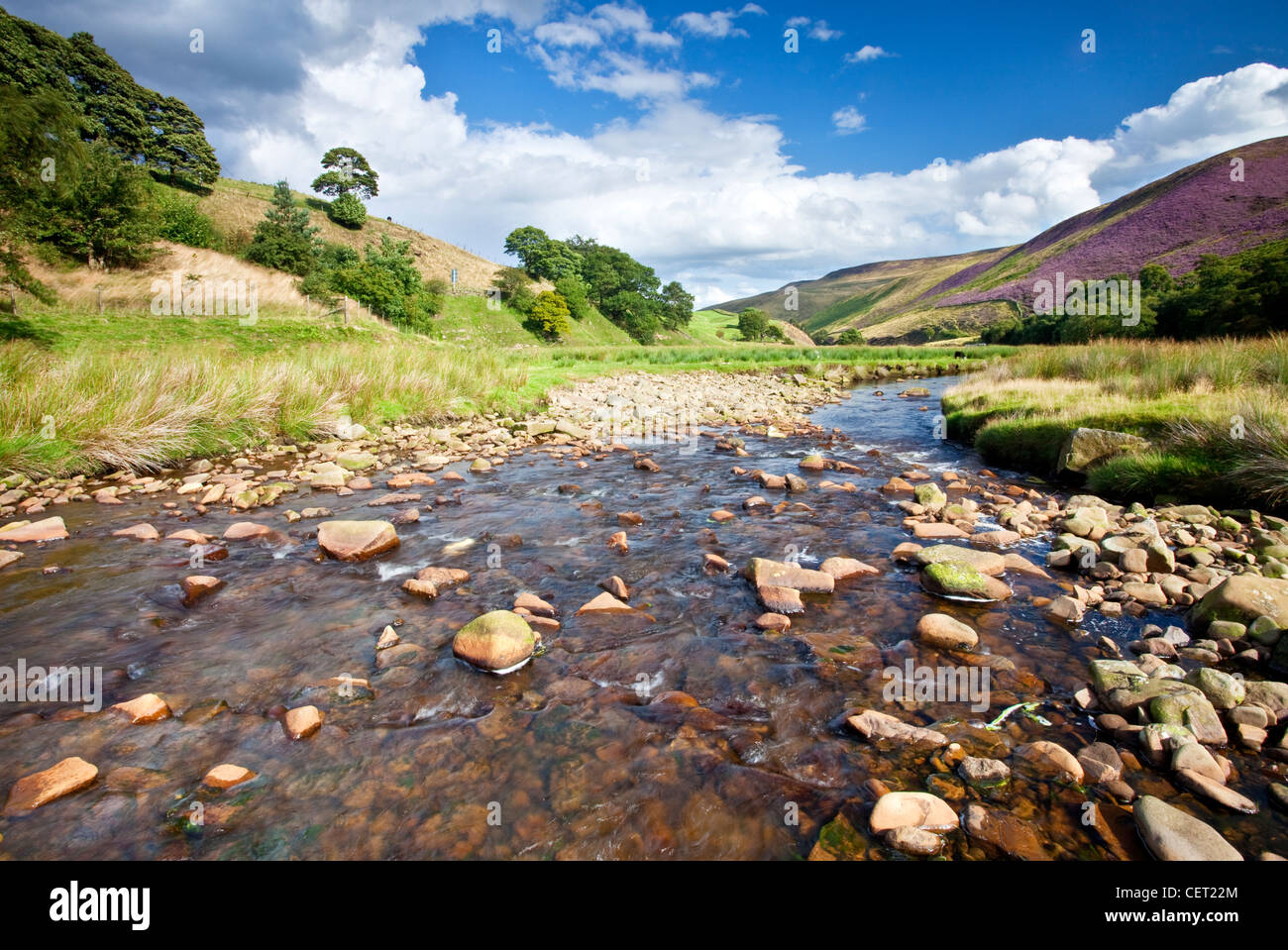 A river flowing through the Woodlands Valley just off the A57 Snake Pass Road in the Peak District National Park. Stock Photo
