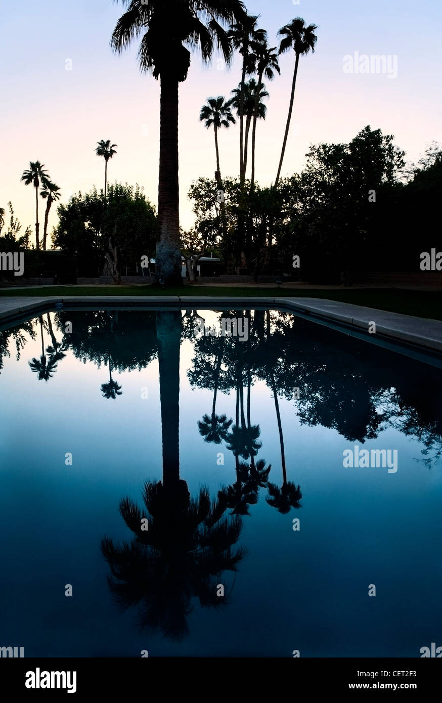 Palm Desert California sunrise with palm trees reflecting in a pool Stock Photo