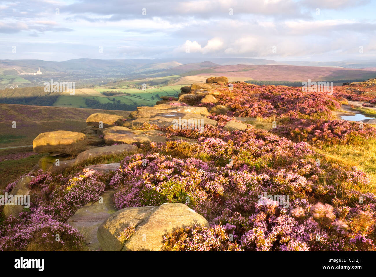 Wildflowers On Rock Ledges Hi-res Stock Photography And Images - Alamy