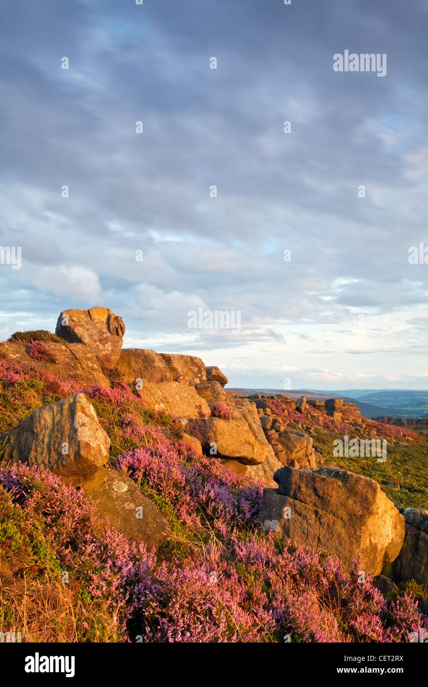 The Knuckle Stone on Carhead Rocks in the Peak District National Park. Stock Photo