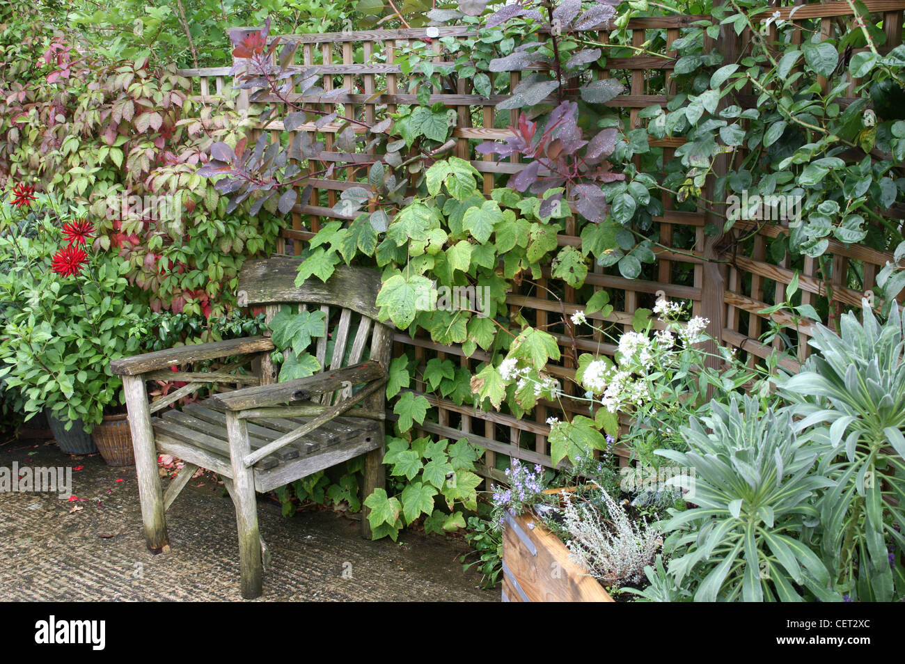 Trellis bench hires stock photography and images Alamy