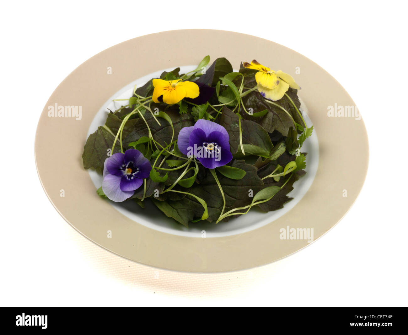 Edible Flower Salad Stock Photo Alamy