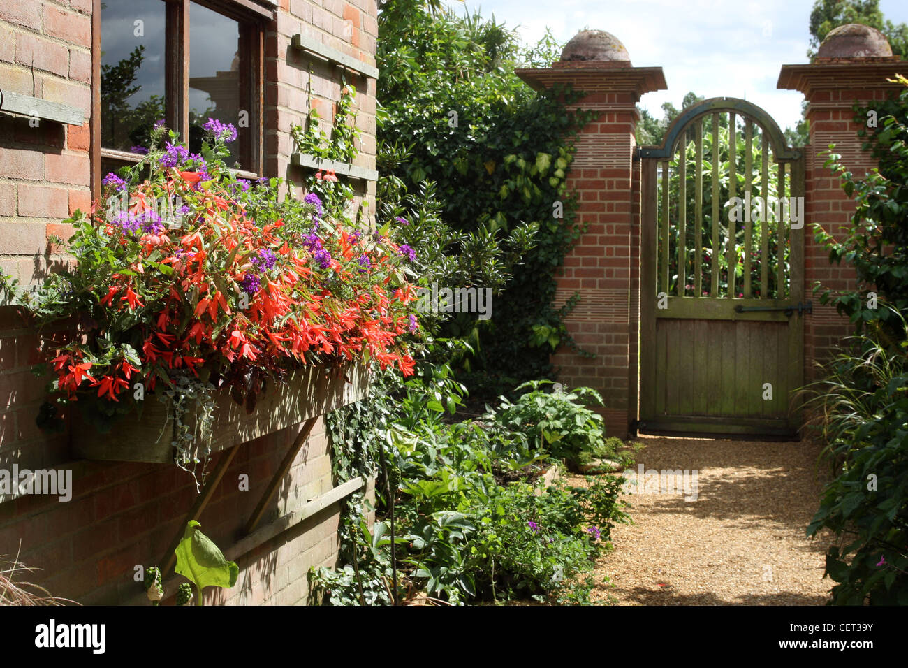 Summer pots Create beautiful summer containers, bringing colour to your ...
