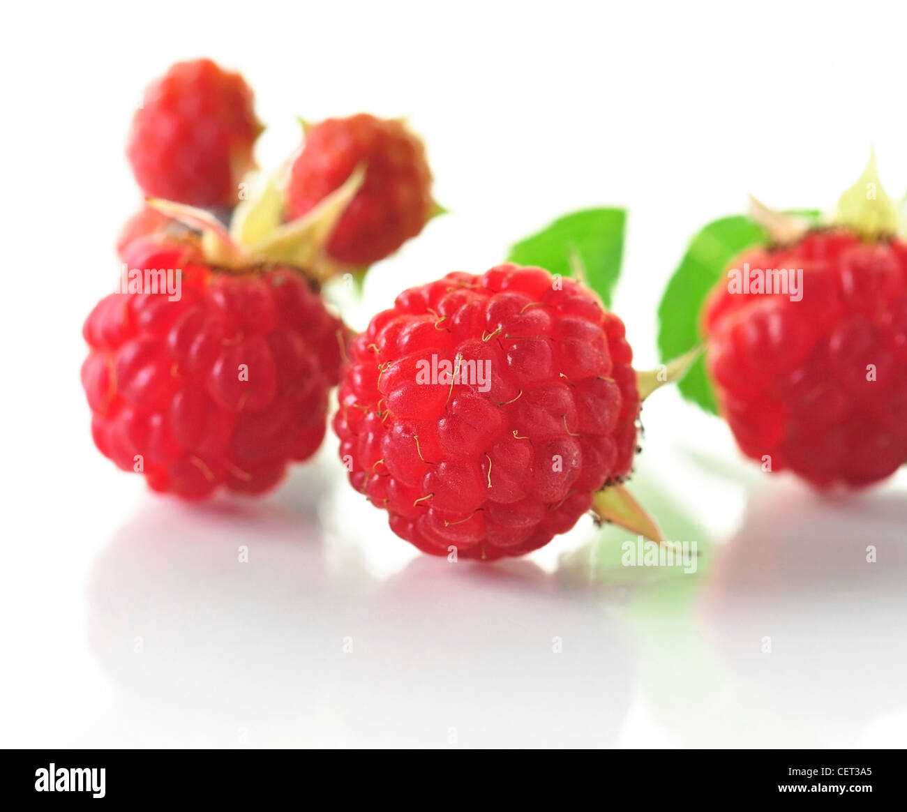 fresh raspberries , close up Stock Photo