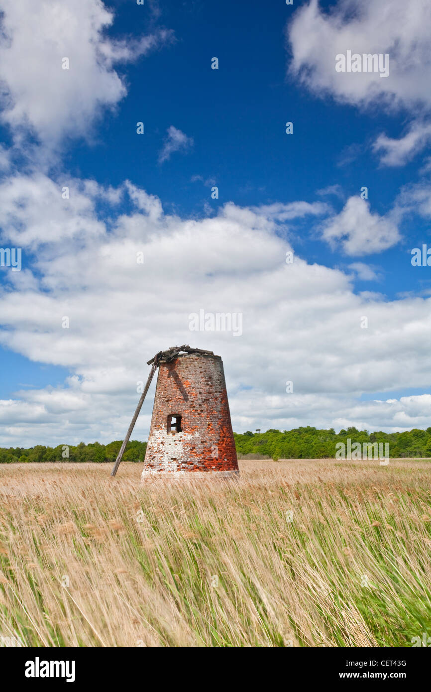 The derelict remains of Westwood Marshes Mill, a Grade II listed tower mill on the Suffolk Coast. The mill is one of only 2 rema Stock Photo