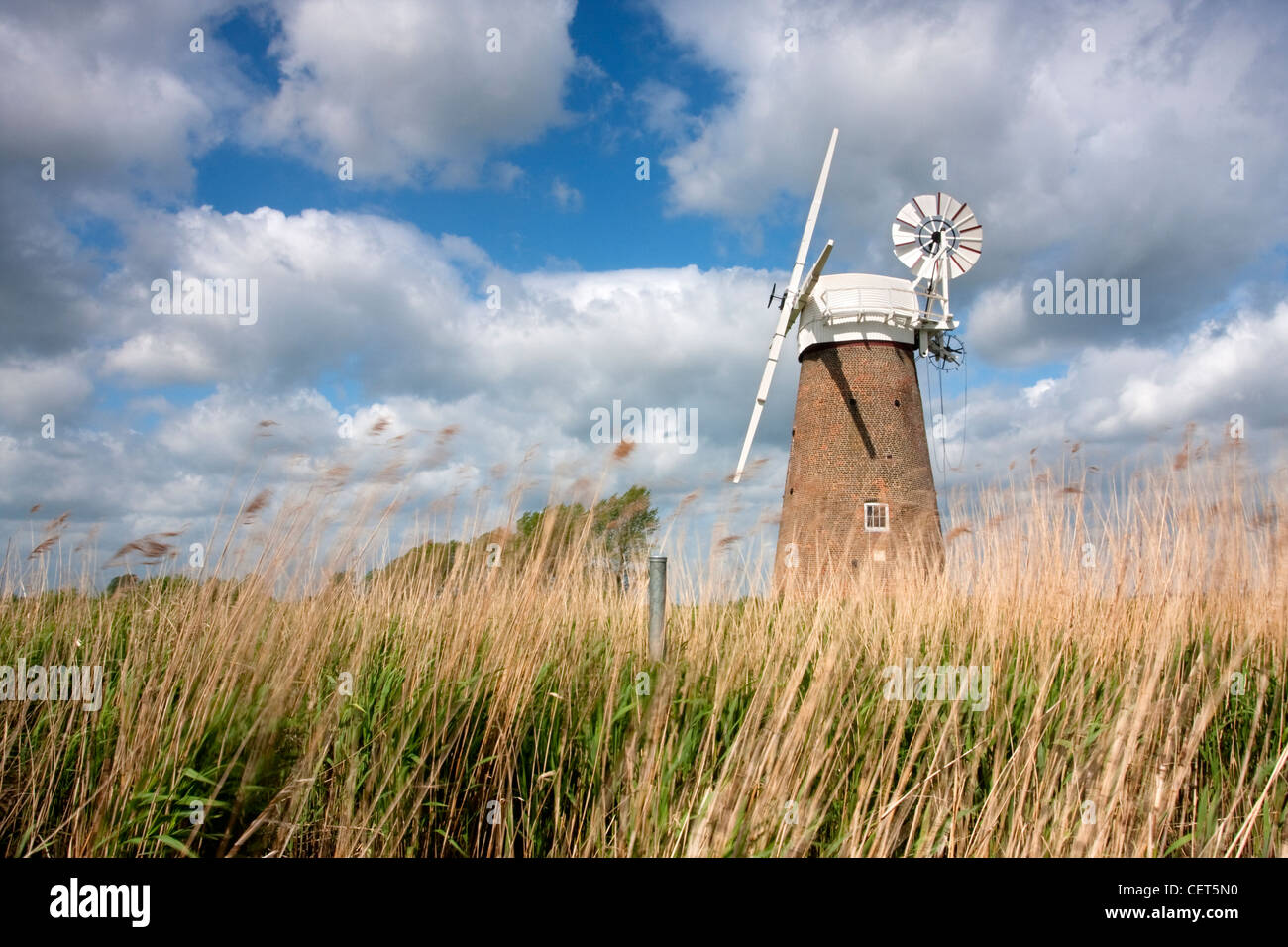 The newly restored Hardley Drainage Mill on the Norfolk Broads. Stock Photo