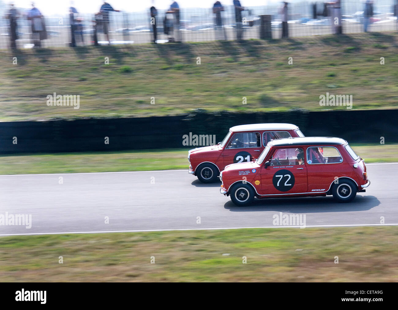 Red Mini Coopers racing at Goodwood Revival. Stock Photo