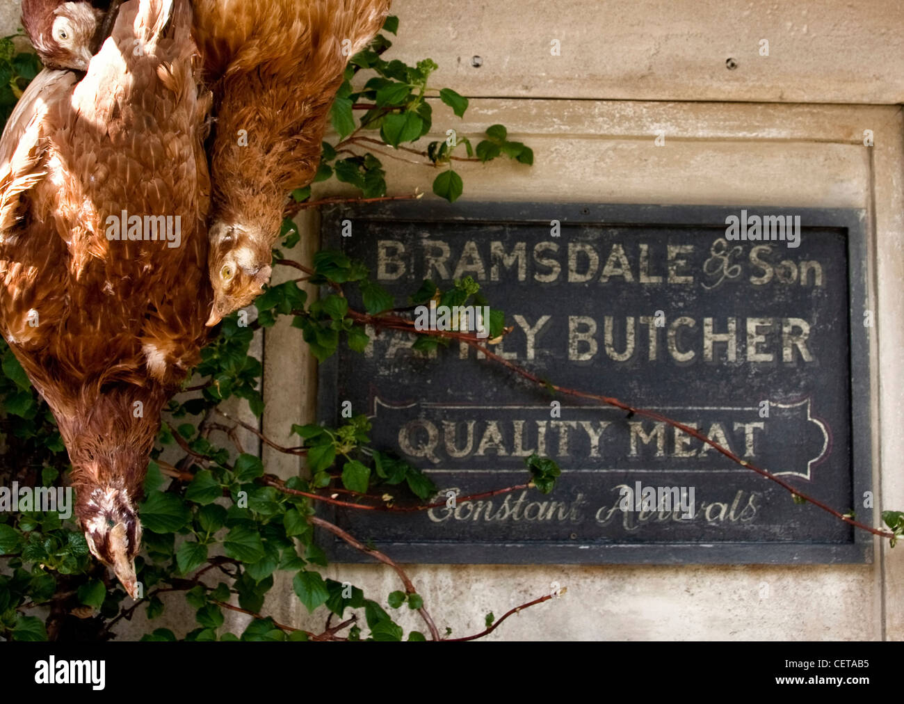 Chickens hanging in a butcher shop in Castle Combe. Stock Photo