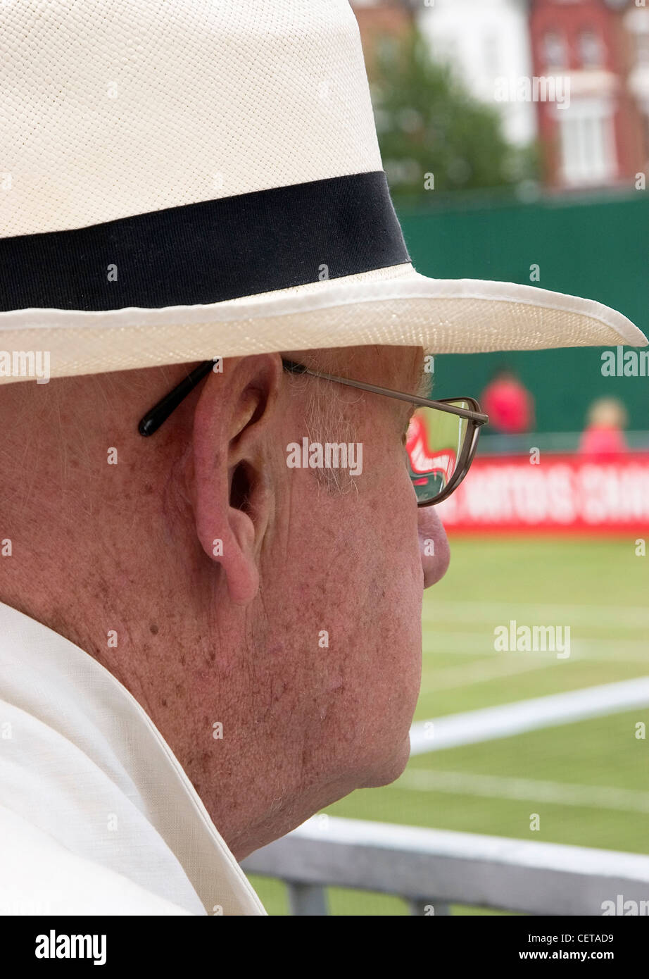 Tennis spectator at Queen's Club in London. Stock Photo