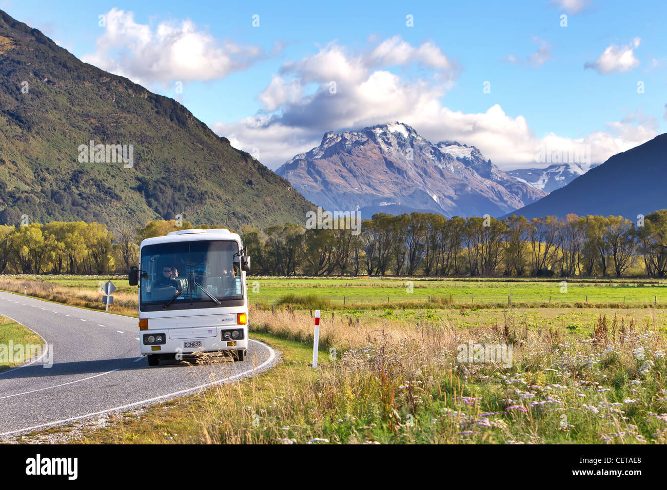 Charter Bus New Zealand 