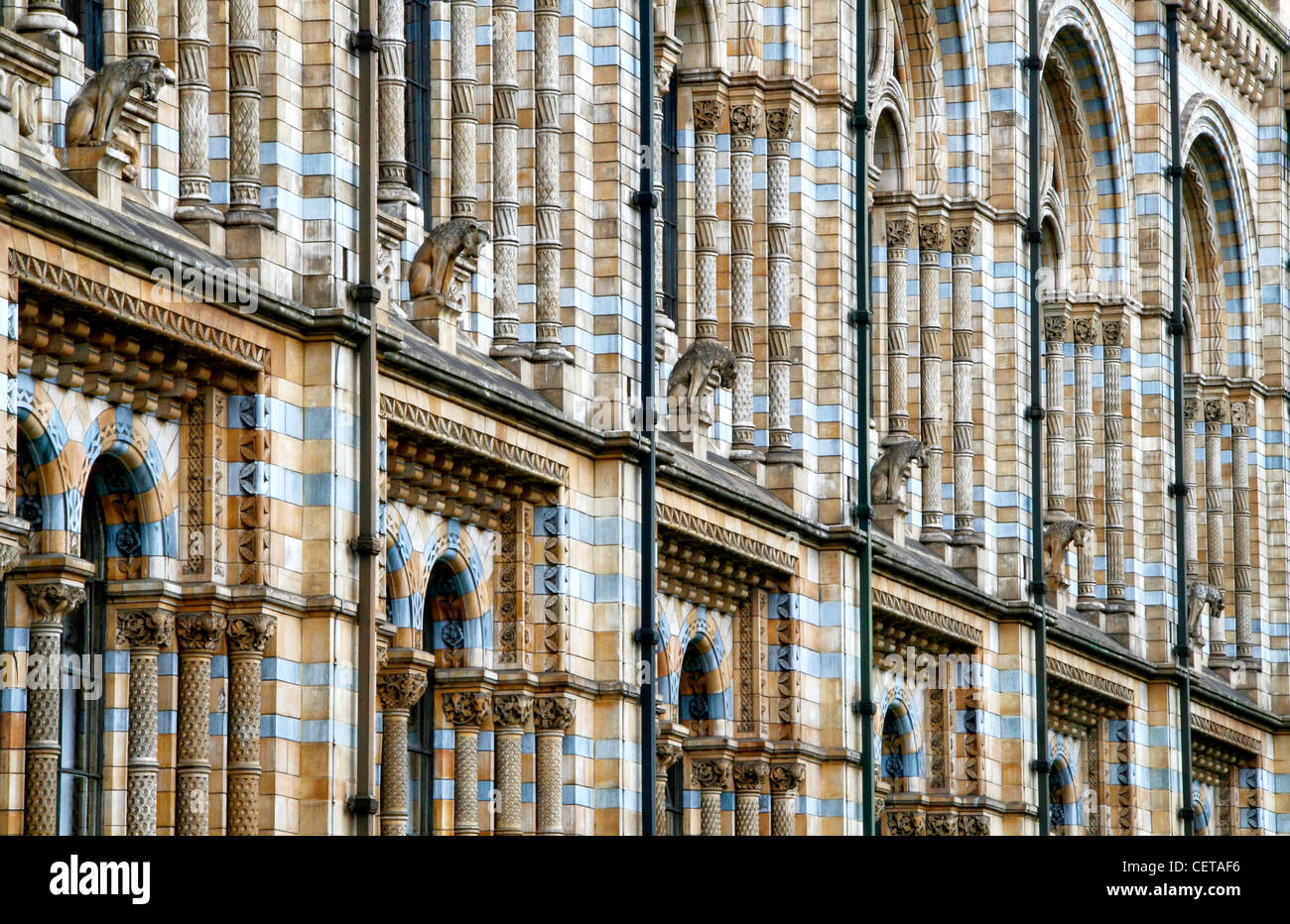 Terracotta tiles on the outside of the Waterhouse building of the Natural History Museum. Stock Photo