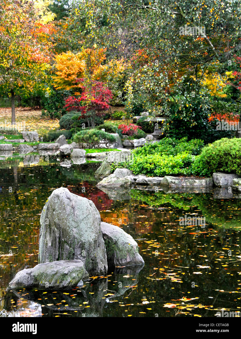 Autumnal colours on display in the Kyoto Garden in Holland Park. Stock Photo