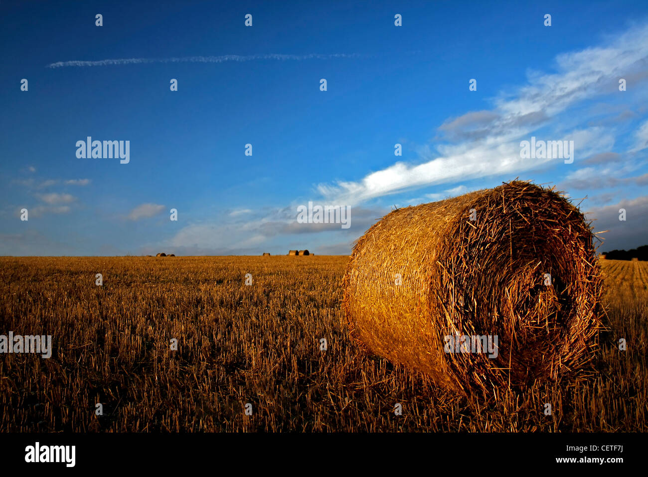 Blue skies over round hay bales on harvested fields in North Yorkshire ...