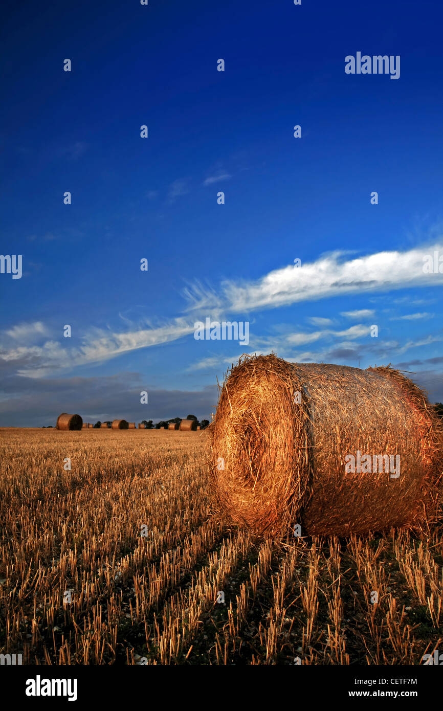 Blue skies over round hay bales on harvested fields in North Yorkshire ...