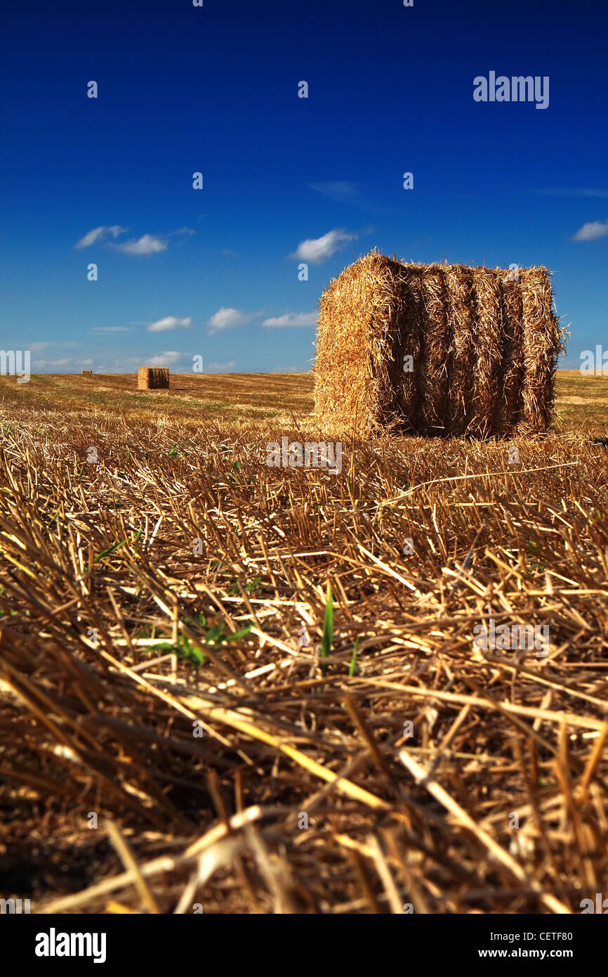 Round Hay Bales High Resolution Stock Photography And Images Alamy