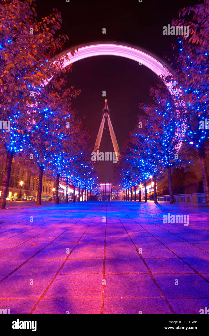 London Eye in full colour at night. The British Airways London Eye is the world's tallest observation wheel at 135m high. Stock Photo