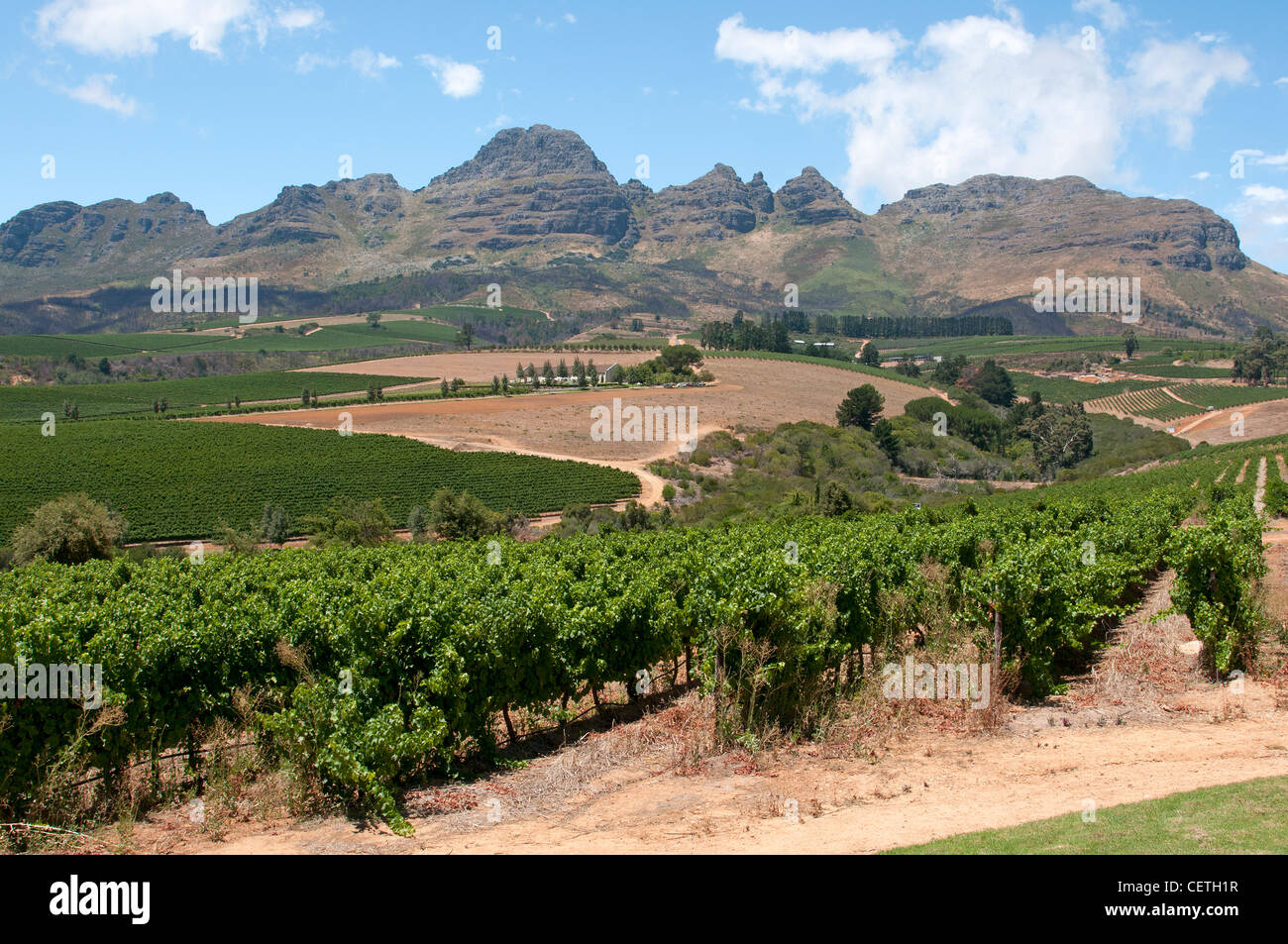 Helderberg Mountain and vines at Guardian Peak winery Stellenbosch South Africa Stock Photo
