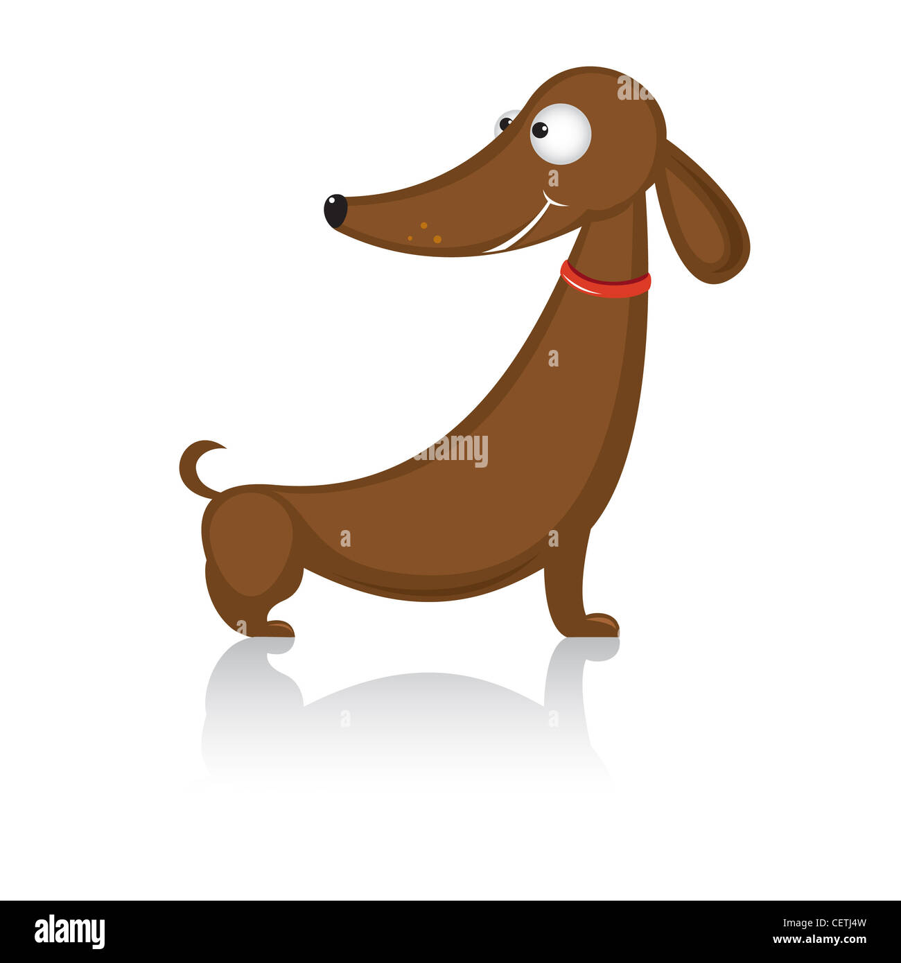 Cartoon funny dog breed dachshund. Illustration on white background Stock  Photo - Alamy