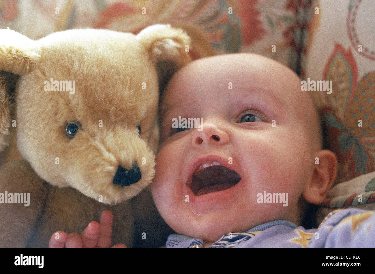 baby teeth teddy bear
