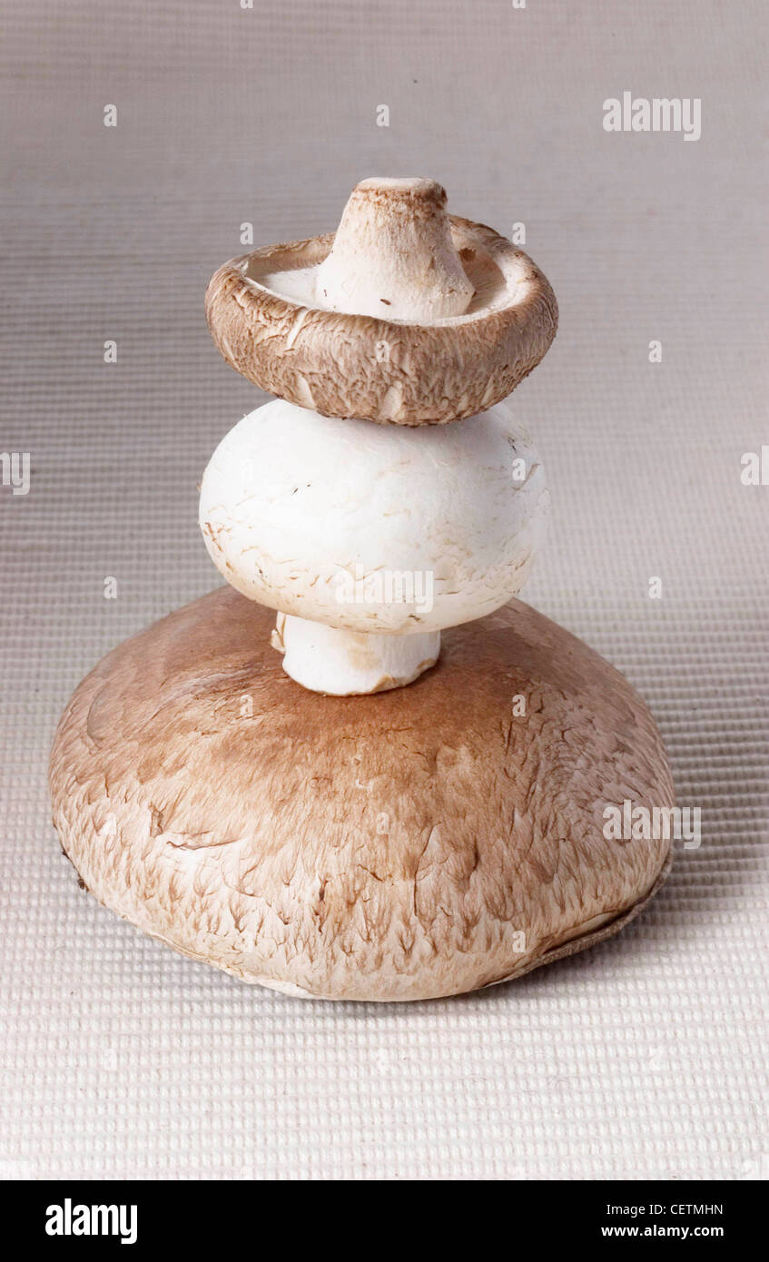 Three mushrooms on top of one another, from bottom; Portobello; button