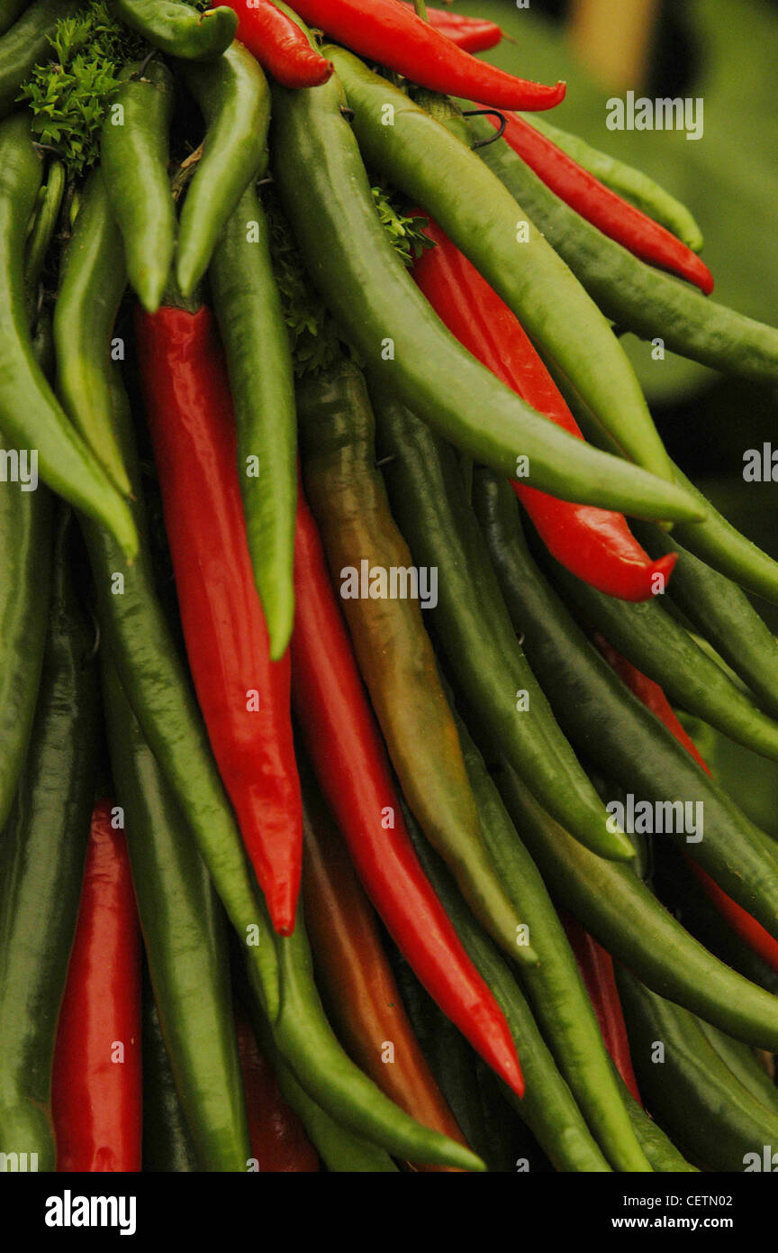 Close up of bunch of red and green chilli peppers Stock Photo - Alamy