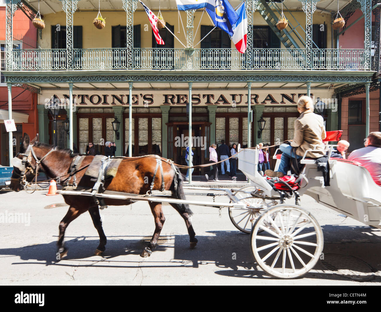 Horse carriage tour, New Orleans Stock Photo