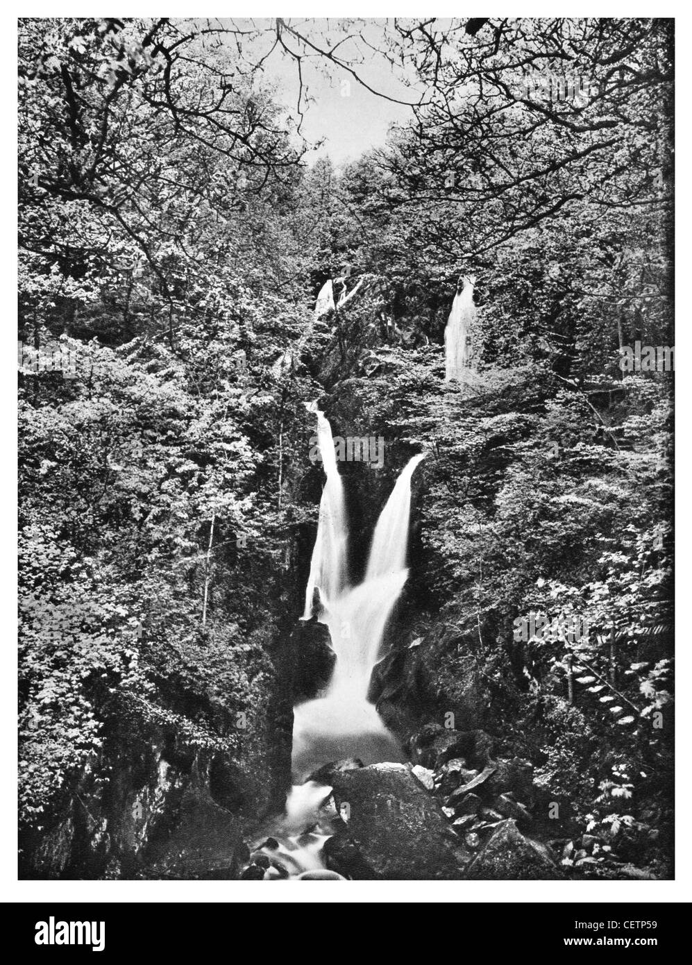 Stock Ghyll Force Ambleside Stock Photo
