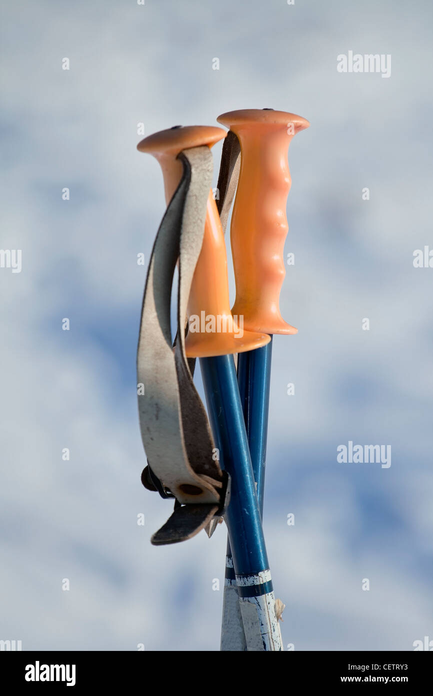 Ski poles nordic hi-res stock photography and images - Alamy