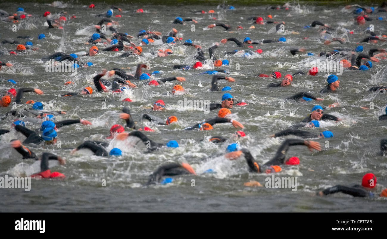 triathletes competing in the swimming phase of the Ironman Triathlon
