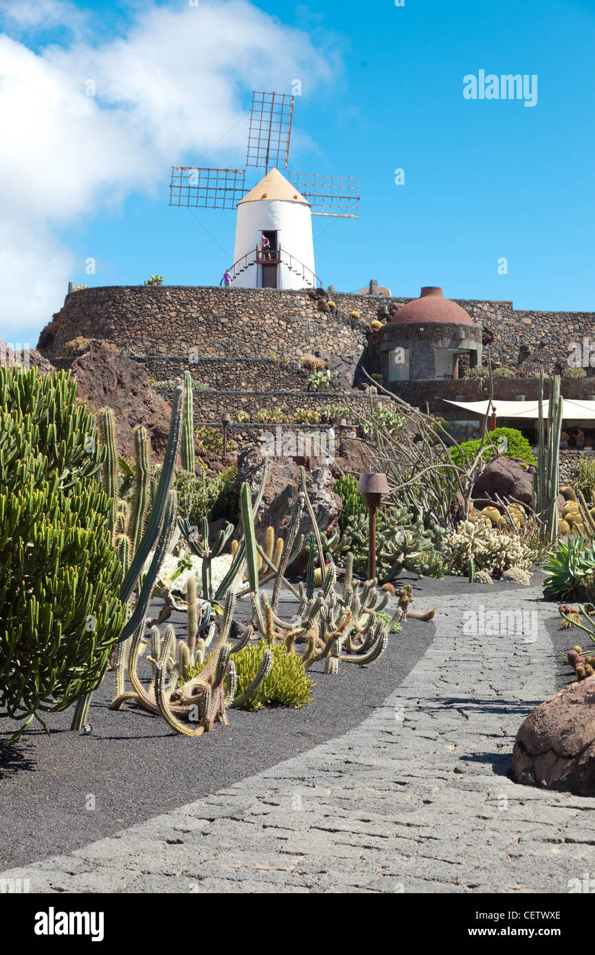 Jardin de Cactus Lanzarote Stock Photo Alamy