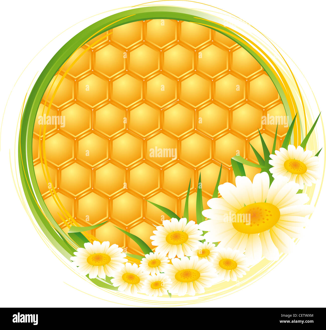 illustration of with flowers Stock Photo Alamy