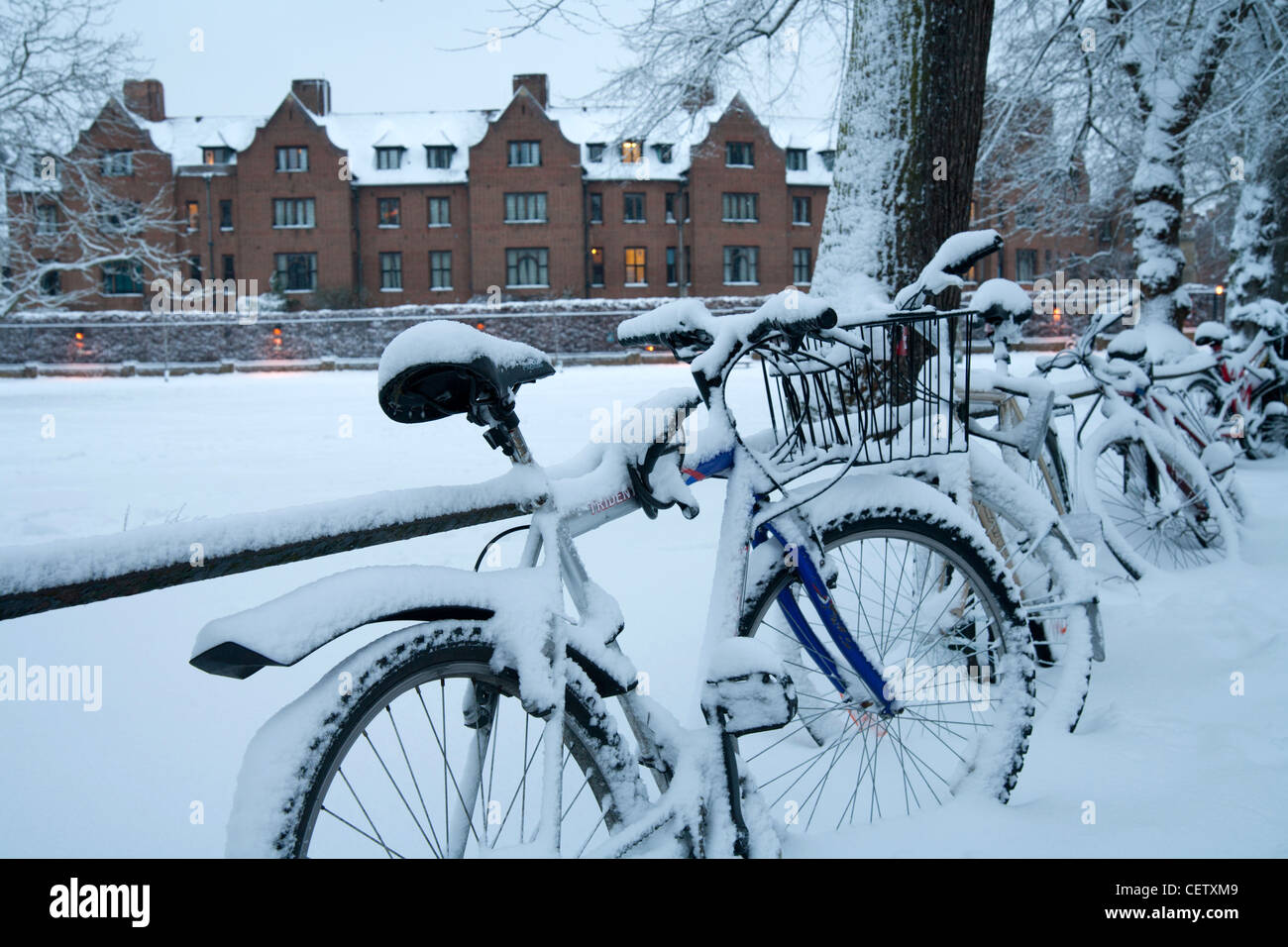 Bikes in the snow Queens College Cambridge Stock Photo