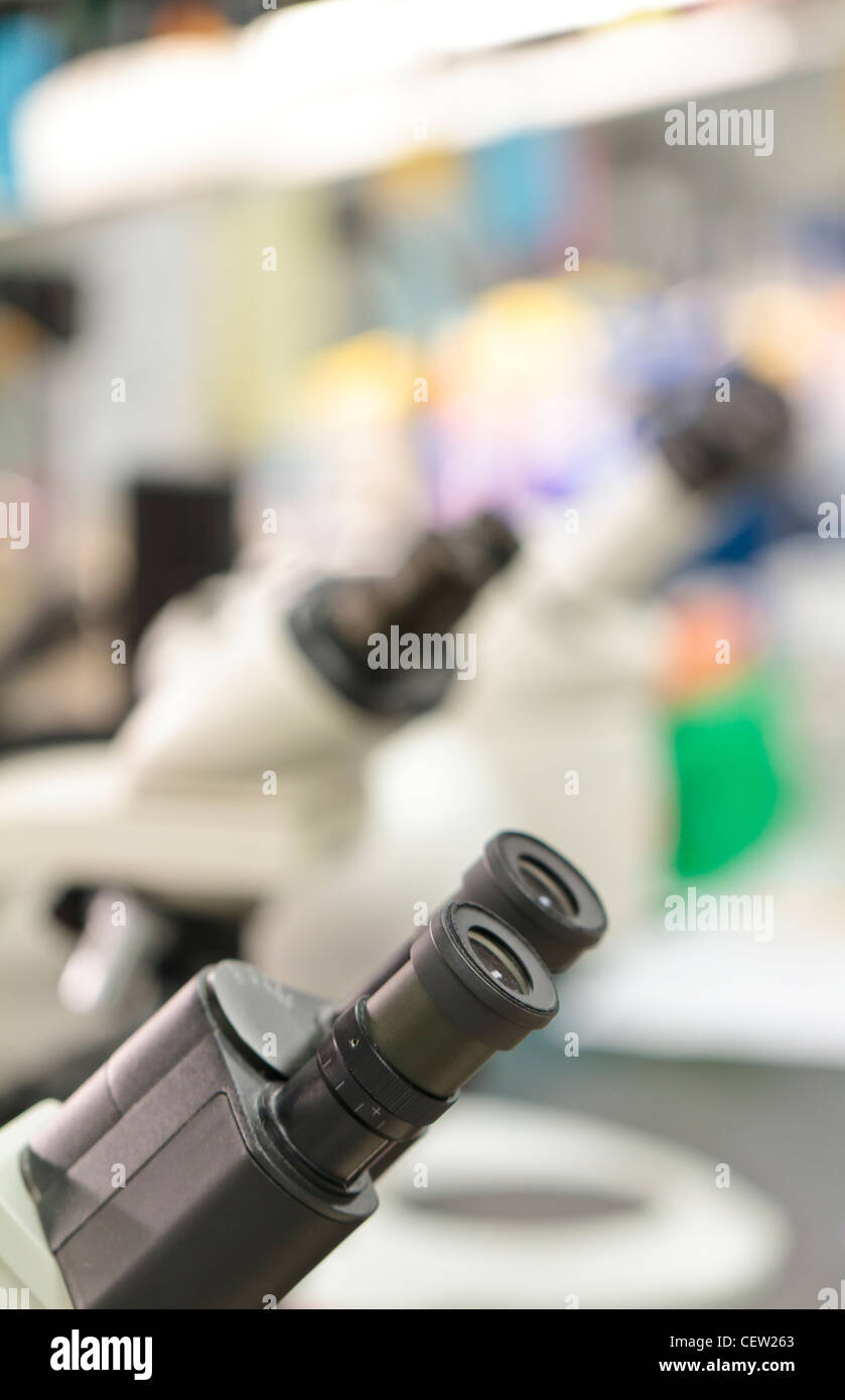 microscopes inside a laboratory Stock Photo