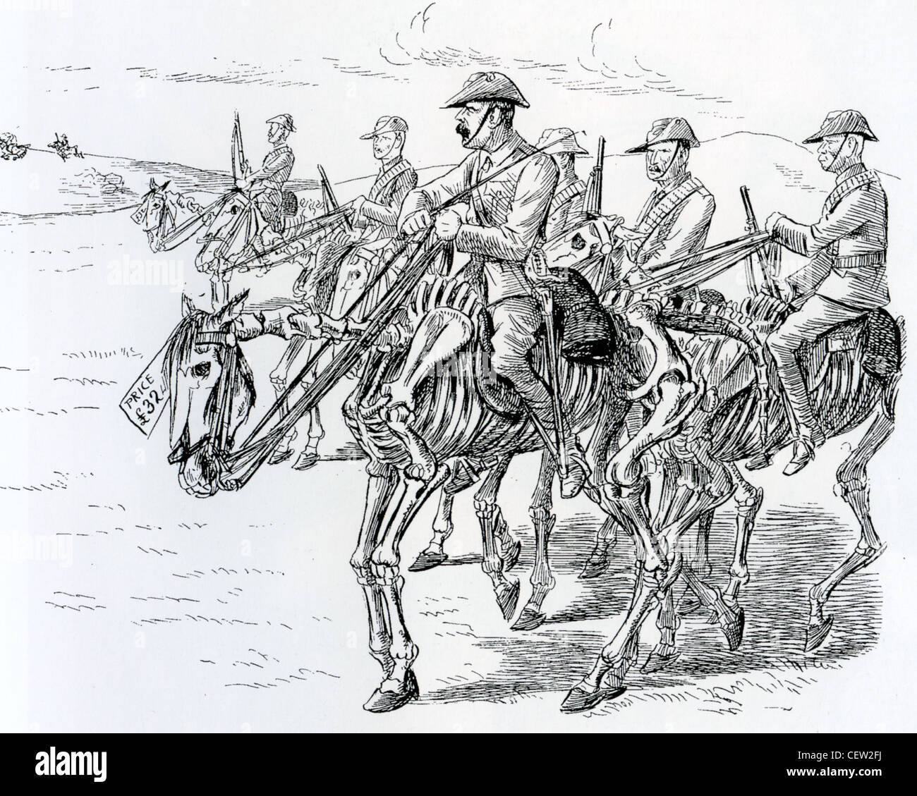 BOER WAR  1902 caricature of the horses supplied to the British Army to replace those killed in action. See Description below Stock Photo
