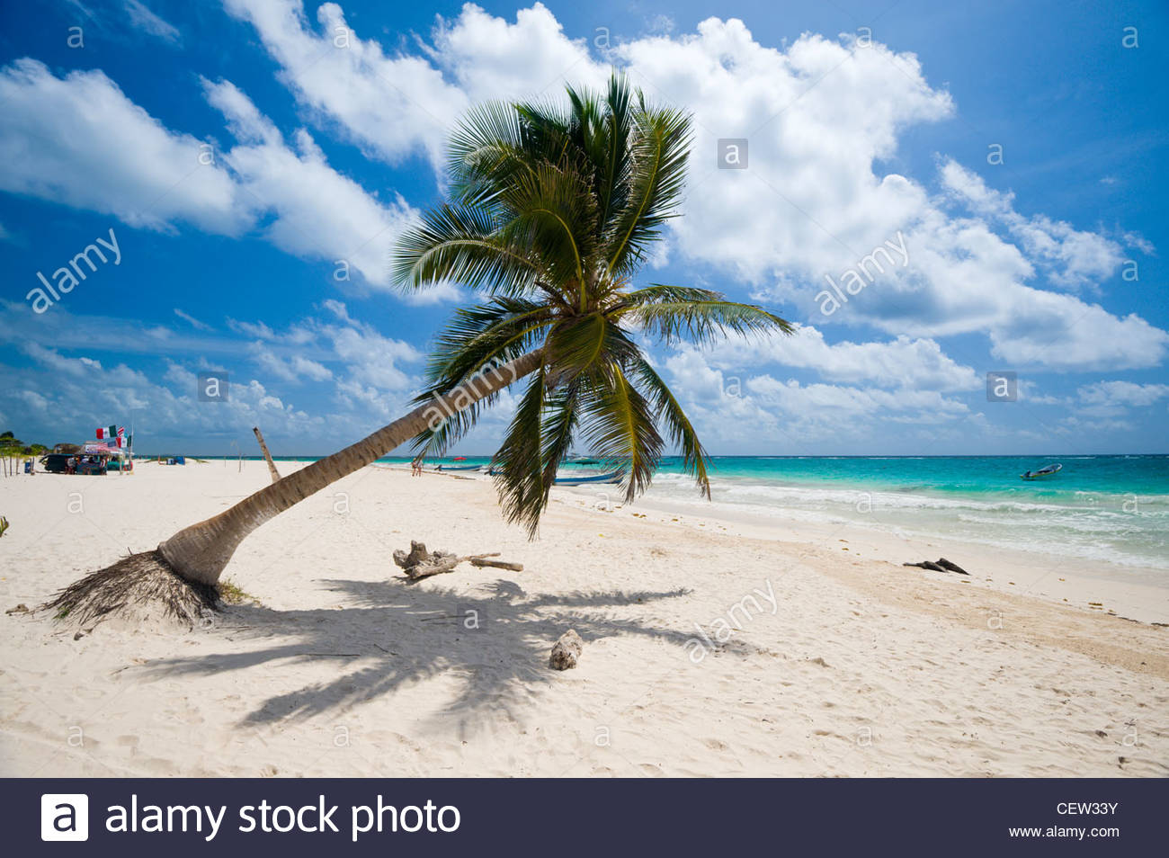 Palm Trees Beach Mexico Stock Photos & Palm Trees Beach Mexico Stock